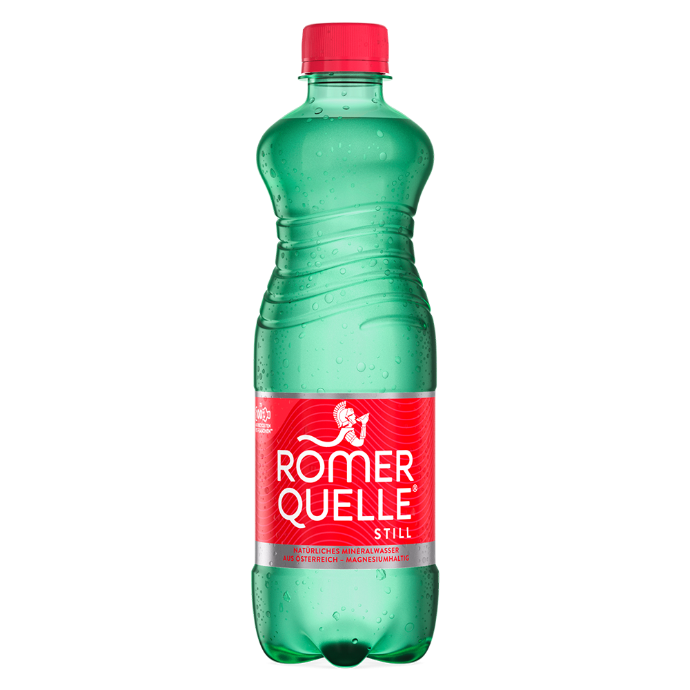 Wasser Still 500ml